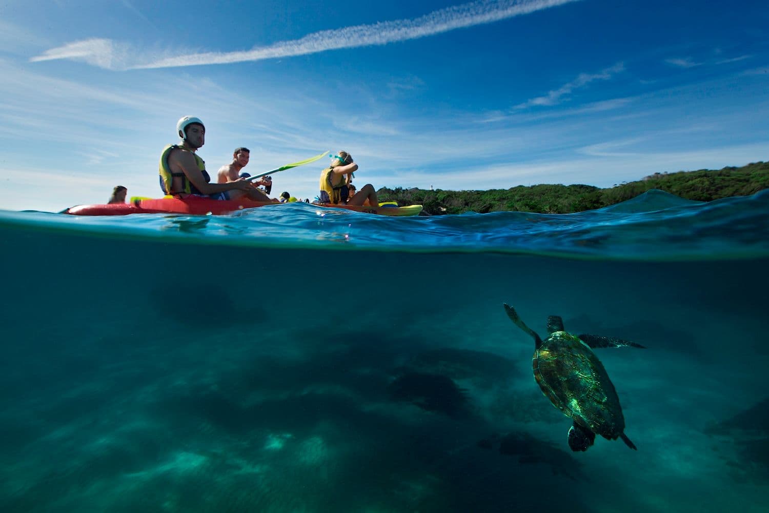 Byron Bay Sea Kayak Tour
